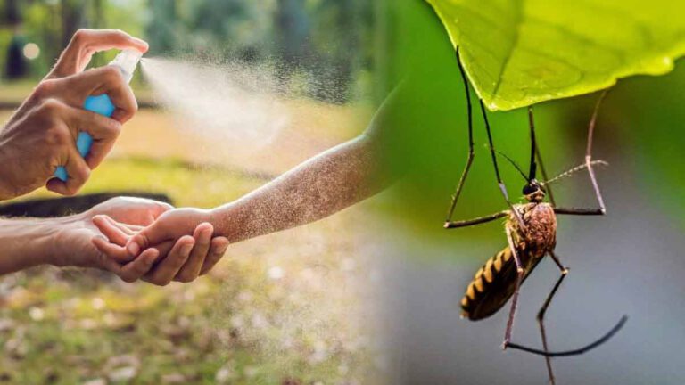 Ces anti-moustiques sont à bannir durant cet été