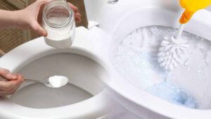 Pourquoi faut-il mettre du gros sel dans les toilettes tous les soirs ?