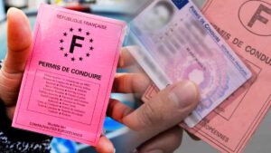 Permis de conduire rose : nouvelle date limite ? Jusqu’à quand pour le changer ?